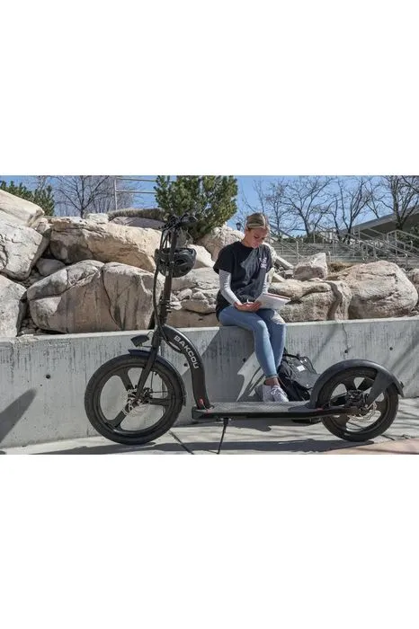 Bakcou Badger 350W 36V Electric Scooter